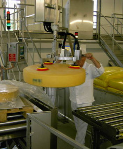 Ventouse pour meule de fromages - Devis sur Techni-Contact.com - 1