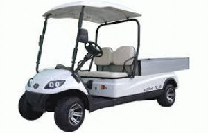 Voiturette golf 2 places moteur AC 48V - Devis sur Techni-Contact.com - 1
