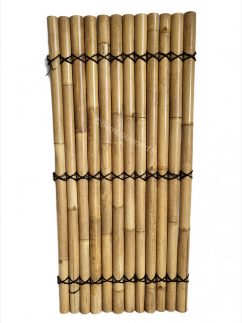Cloture bambou regulier 