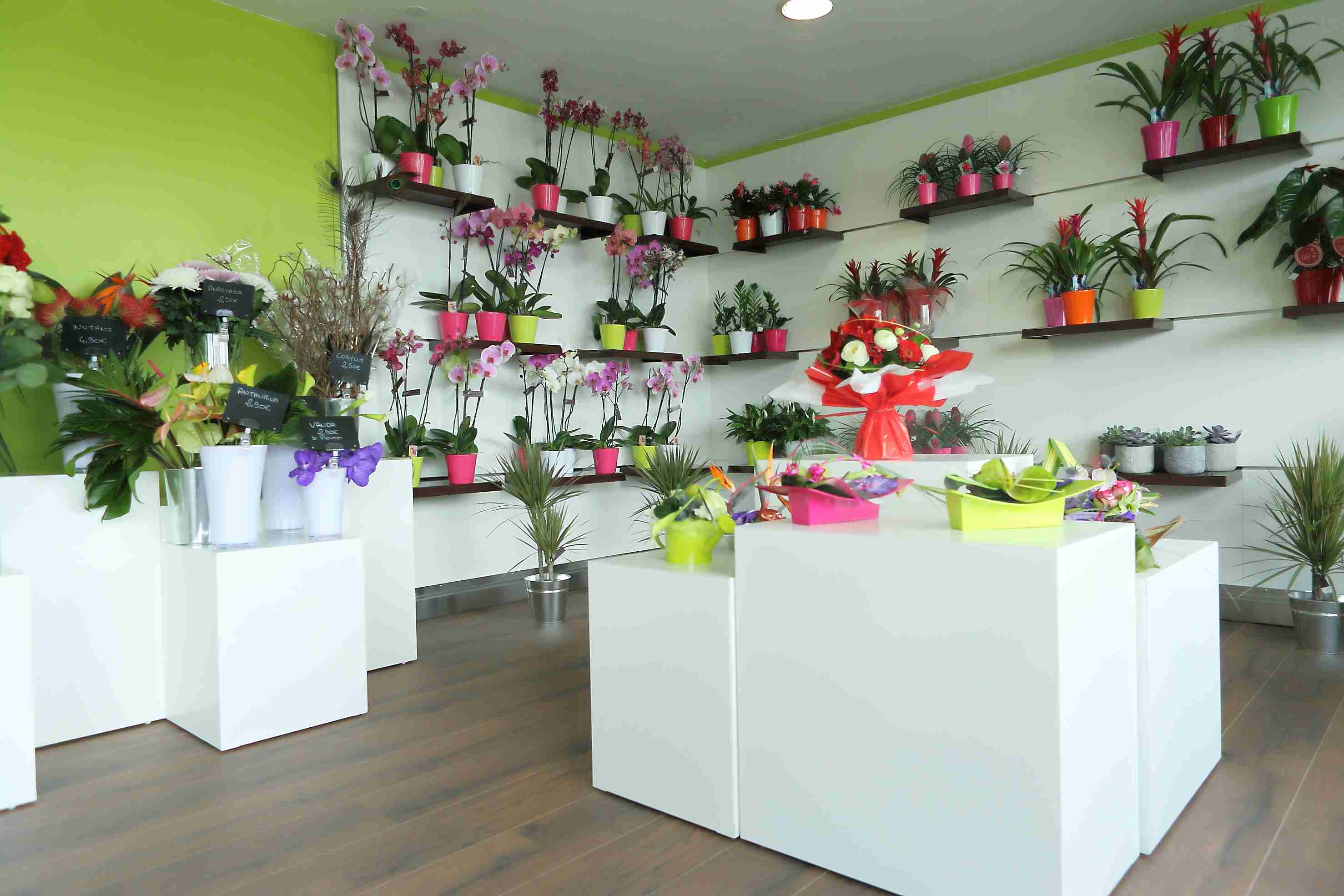 Présentoir fleuriste Devis sur TechniContact Mobilier fleuriste