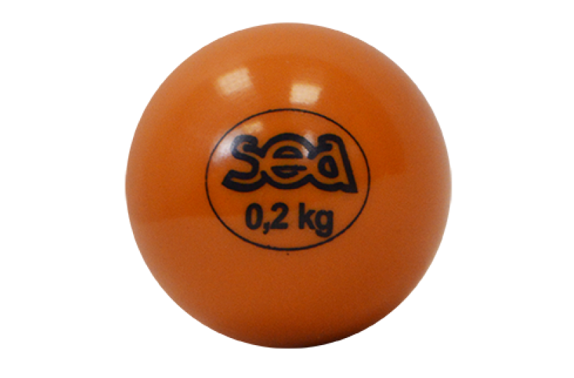 Balle De Gym LESTEE 2 KG SVELTUS