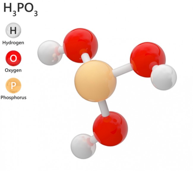 Acide phosphorique (75 %) de qualité industrielle - Fût de 200 litres