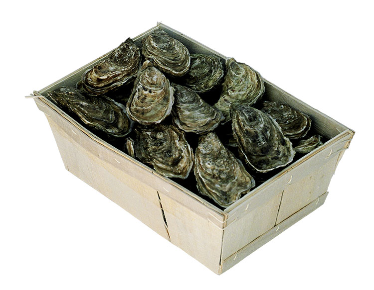 Barquette d'emballage en bois pour huître et coquillages : Devis