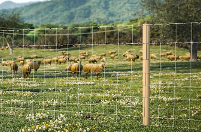 Grillage noué galvanisé : Devis sur Techni-Contact - Grillage mouton