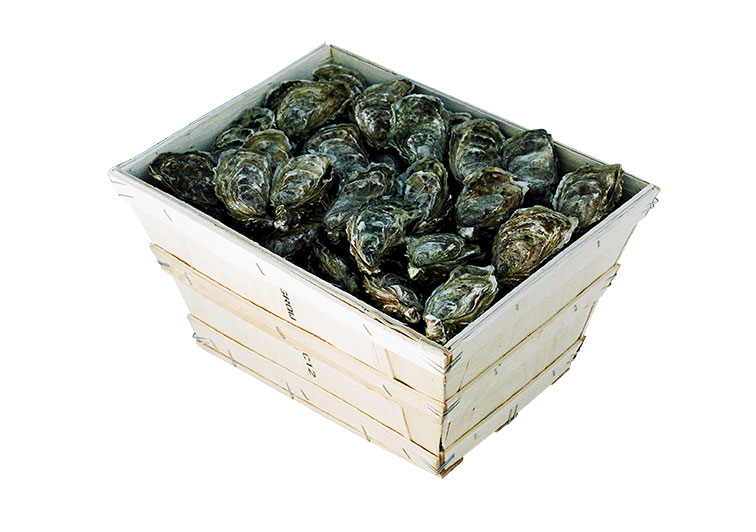 Barquette d'emballage en bois pour huître et coquillages : Devis sur  Techni-Contact - Emballage fruits de mer