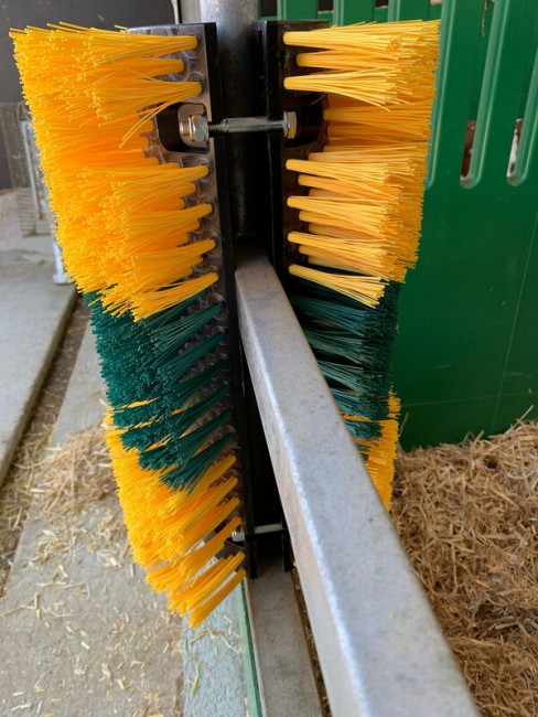 Grattoir Pour Chevaux Et Bétail – Brosse Ferme Pour Soulager