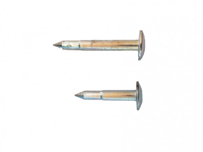 Lot De 10 Clous D'arpentage Robustes - Pour Mesure Précise, Repérage Terrain, Points De Contrôle