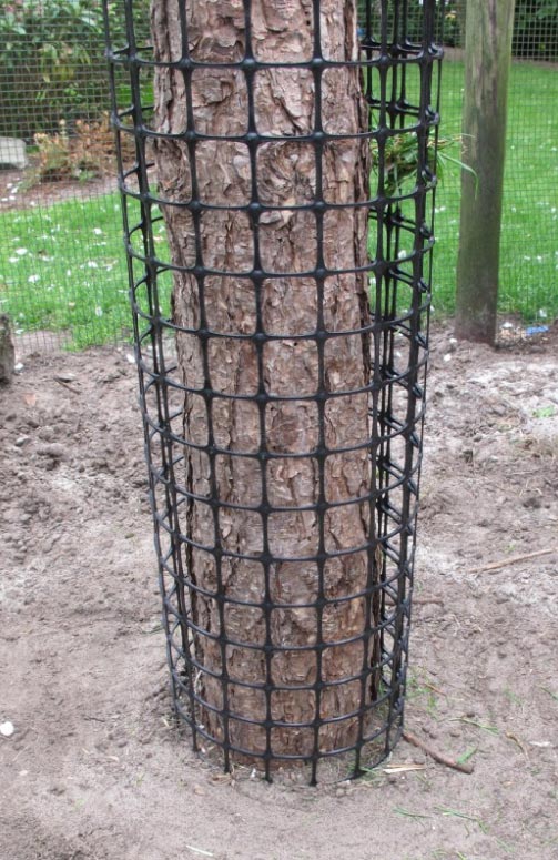 Manchon protection arbre : Devis sur Techni-Contact - Protection tronc d' arbre