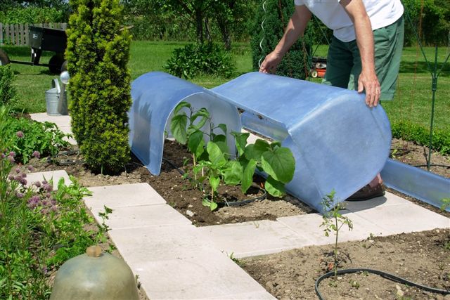 Serre pour jardin : Devis sur Techni-Contact - Serre pour jardinnage